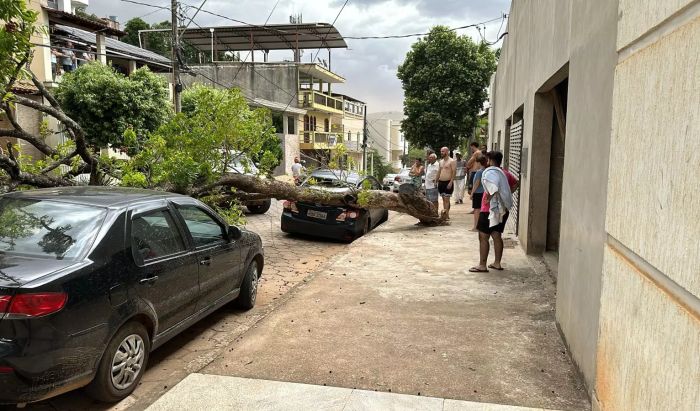 Portal ipanema 2025 notícias de hoje