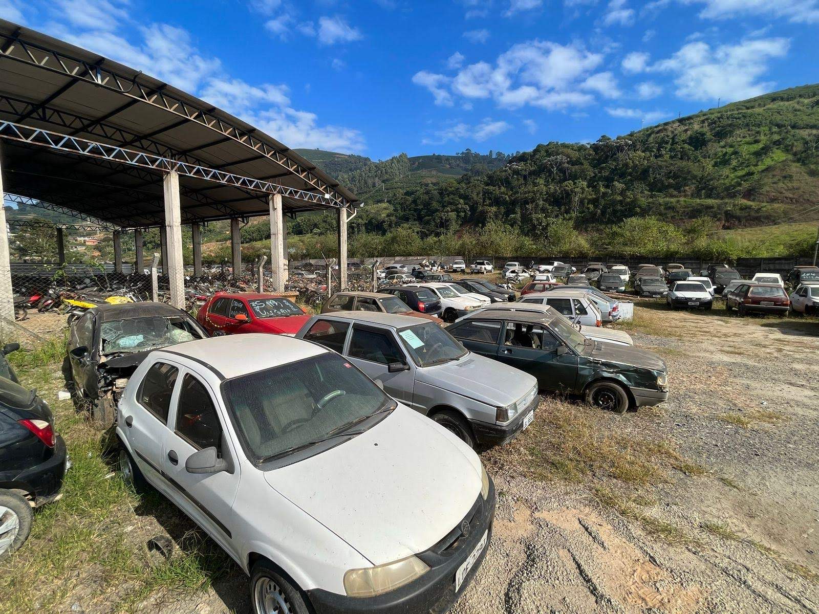 VÍDEO: família de capivaras passeia em concessionária de Manhuaçu