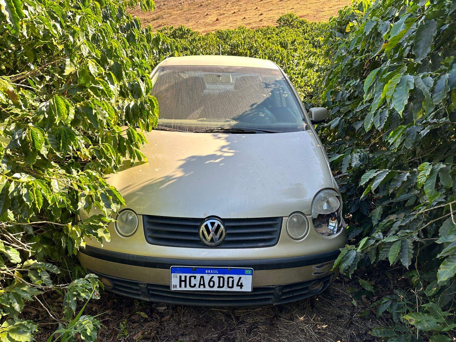 Homem é executado em lavoura da zona rural de Matipó