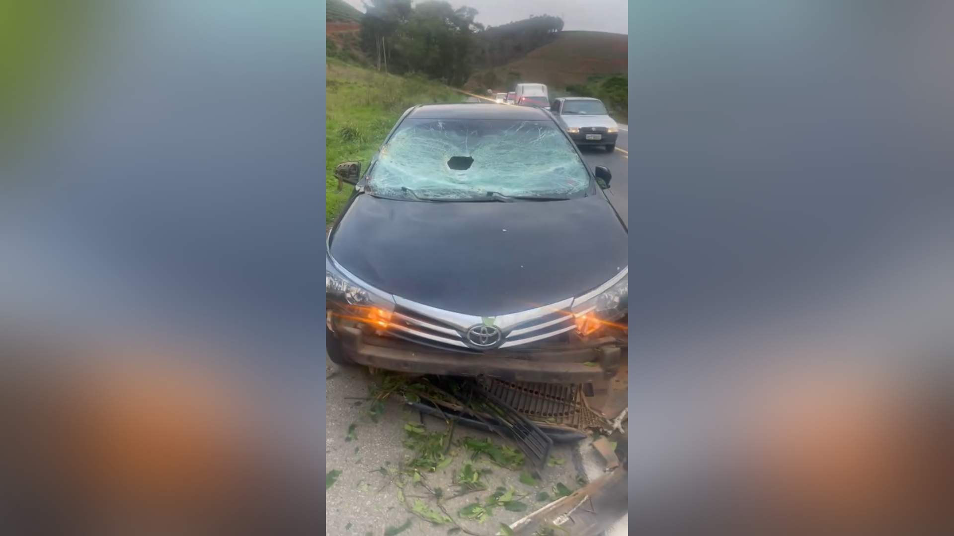 Queda de árvore atinge carro na BR-262 em Matipó