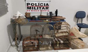 Caça ilegal: Polícia Militar apreende armas e materiais em Conceição de Ipanema
