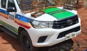 Homem é preso por manter pássaros silvestres em cativeiro em Pocrane