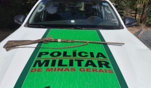 Ação da Polícia de Meio Ambiente resulta em prisão e autuações