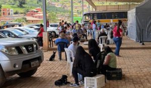CastraBus realiza castrações de cães e gatos em Luisburgo