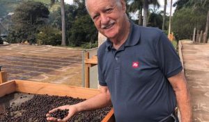 Colheita e pós-colheita definem qualidade e valor do café brasileiro, aponta especialista