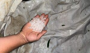 Temporal com granizo causa prejuízos em toda a região